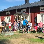 20 katter visades - både inne och ute. Foto: K Stenmark